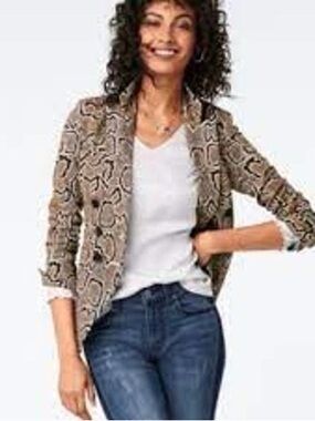 NWT CAbi #3768 Classic V-Neck Blouse Platinum XS
